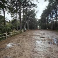 Go down towards the Picnic benches, turn left heading through them