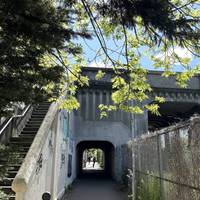 Head under this road bridge, walking through the tunnel.