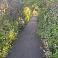 First, walk up Venton East Hill (affectionately know by locals as: Vent-Neese)