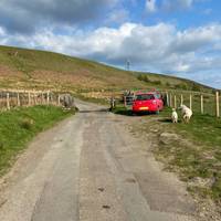 You’ll see a cattle grid that marks the start of the common.