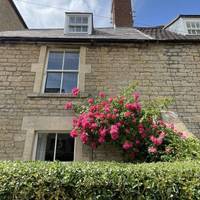 Look out for nature as you along the street.