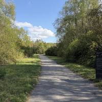 Join the tarmac path and make your way into the park.