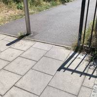 Enter the Park off Albany Road
