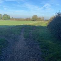 You will come to the next field, continue going straight following the walking track