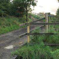 At the end of the path you will be met with the option to turn right onto a small crossing over the brook and along an overgrown path.