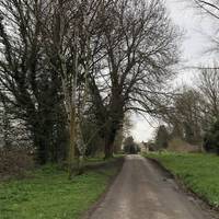 Follow the path up. Don’t be surprised if you meet a car en route. No parking on the verge here. You’ll need wellies if it’s been raining.