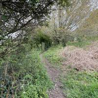 This short uphill section is quite steep and can be quite overgrown. Take your time. Follow the path as it bends to the left.
