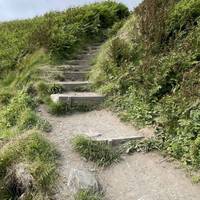 Head up the steps.