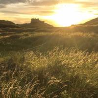 You're heading for the next gap in the dunes, another spot by the gate to catch a view of the castle. Keep on going.