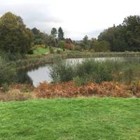 Bedgebury Pinetum is owned and managed by the Forestry Commission. The lake on your left as you walk in is full of wildlife. 
