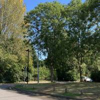 Starting from the Newbridge park&ride bus stop follow the desire line across the traffic island to the path on the far side.