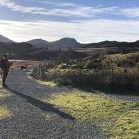 At the junction of the path from Rhydd Ddu, turn right