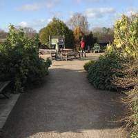 Walled garden leading to the Nature Centre 