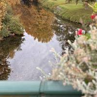 Tant qu’à faire, on longe la Bidouze !