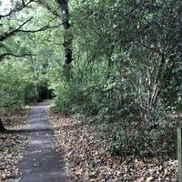 This woodland is pretty ancient and is just over 1.5km long. This is also a part of the Green Chain Route and the Capital Ring.