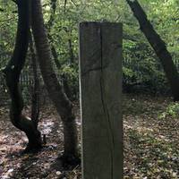 Look out for these wooden sign posts as you walk along. There are also plenty of benches for rest stops. There are bluebells in spring yay!