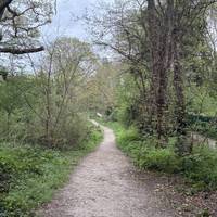 Are there any unhelpful thoughts you can leave behind as you enter the park?