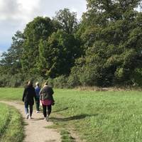 Most of the main trails are wheel and pram friendly 👏🏽