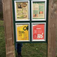 Start the walk at the Kingswood car park. The path goes off to the right of the information board, through the trees. 