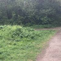 Take the next left turn to loop round to the Kitchen Garden. Take three slow breaths. What can you hear right now?
