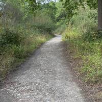 Keep following the trail.