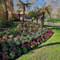 Our ornamental planting beds provide a beautiful display of flowers, including those that provide nectar and pollen for pollinators.