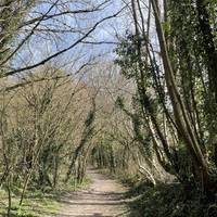 It's a gentle climb under trees. Enjoy the dappled light if you're walking in clear conditions.
