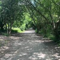 Keep walking on the path. Take time to listen to the wind rustling the trees.