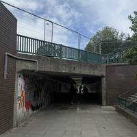 At the bottom on the left, go through the tunnel under Felling Bypass.