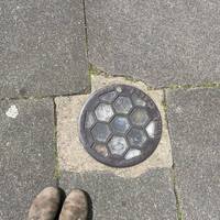 This stopped dirty coal from bringing carried through Victorian houses as it could be deposited directly into the cellar…