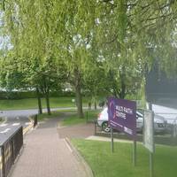 Head down the slope towards the Multi-Faith Centre, be sure to enjoy the willow on the way.
