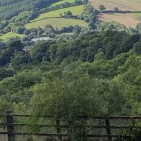 Pass the picnic area with superb views, & turn right into the road. For just a stroll go through the gate and follow the hedgerow…