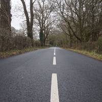 We started by following the car road as the rookies we are, but even that was pretty.