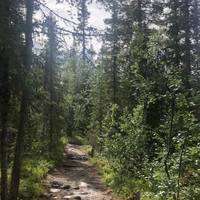 Follow the trail to your left through the woods. You can start hearing the waterfall now 💦