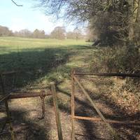 Go through the kissing gate into the first field. Continue in the same direction to the opposite end of the field.