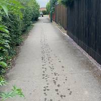 Continue on this path with a hedge on the left and a wooden fence to the right.