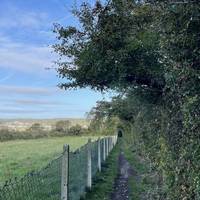 Follow the narrow path ahead with the hedge on your right.