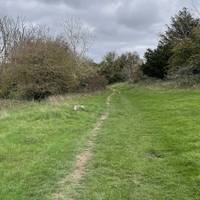 Turn right on the grass path and this section of the South Downs Way.