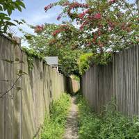 Head gently downhill between the garden fences.