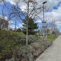 Stop by the beds and enjoy the different textures of the plants here.