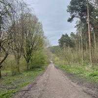 The route can be easily navigated but in Winter, these paths can be very wet and muddy