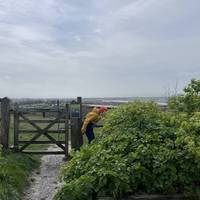 Head to the top of car park, turn left through the wooden gate to begin. Please note, there are steps and steep sections on the walk.