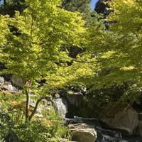Climate change makes weather conditions more extreme: hotter & drier, and rainier & wetter. Parks help to reduce these impacts.