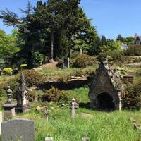 Head inside an explore, it’s a fascinating place to walk around. There are many different tree species planted here among the graves.