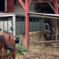 Un crochet par le centre équestre