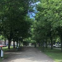 På högre sida av Kungsgatan hittar du Rörsjöparken, – en underskattad park som är perfekt för picknics eller lek i plaskdynan