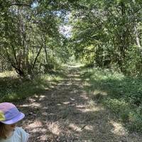 A grassy path will emerge on your right. We’re headed down here. We had a buggy with decent wheels and this route was fine in dry weather.