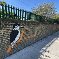 On the wall on the left there are painting of some of the many species that make homes in or visit Walthamstow Wetlands.