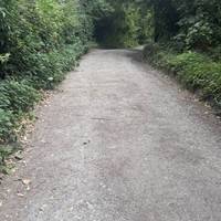 Walk past the church, on your left down this single track road.
