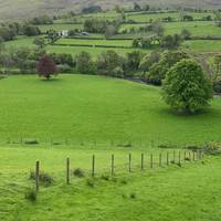 The hills in the distance to you right are the Sperrin Mountains where many rivers and streams start their journey...